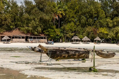 Zanzibar : visite privée de la forêt de Jozani, de la grotte de Kuza et de la plage de Paje