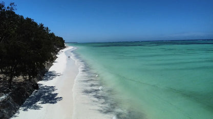 Zanzibar : visite privée de la forêt de Jozani, de la grotte de Kuza et de la plage de Paje