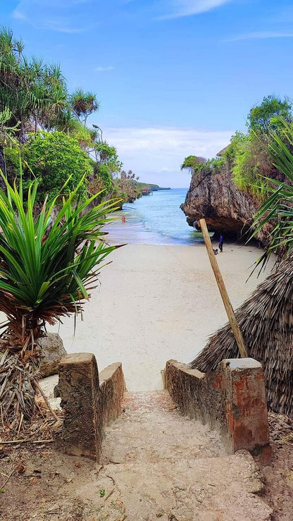 Zanzibar : visite privée de la forêt de Jozani, du parc aux reptiles et de la plage de Mtende