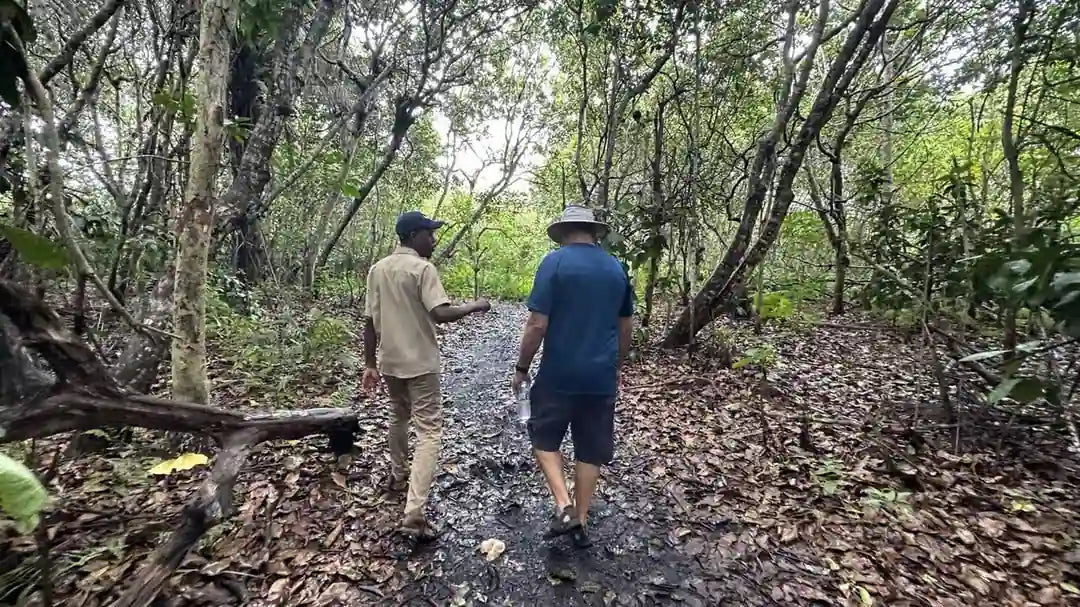 Zanzibar : visite privée de la forêt de Jozani, du parc aux reptiles et de la plage de Mtende