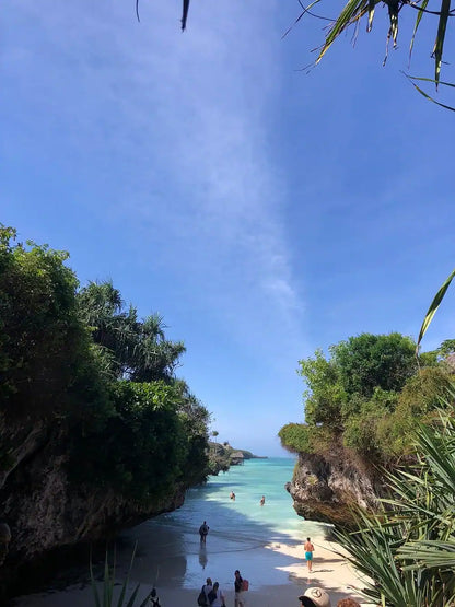 Zanzibar : visite privée de la forêt de Jozani, du parc aux reptiles et de la plage de Mtende