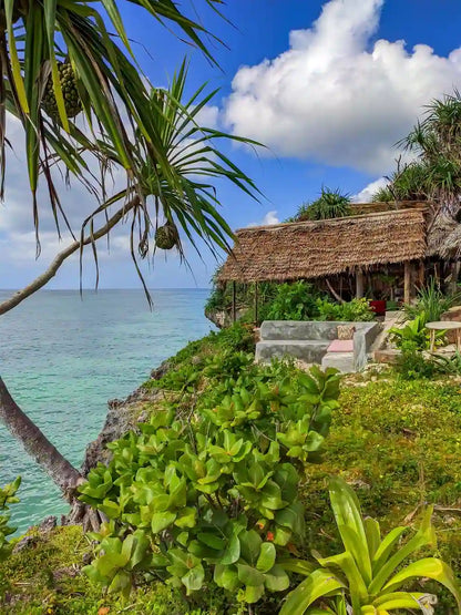 Zanzibar : visite privée de la forêt de Jozani, du parc aux reptiles et de la plage de Mtende