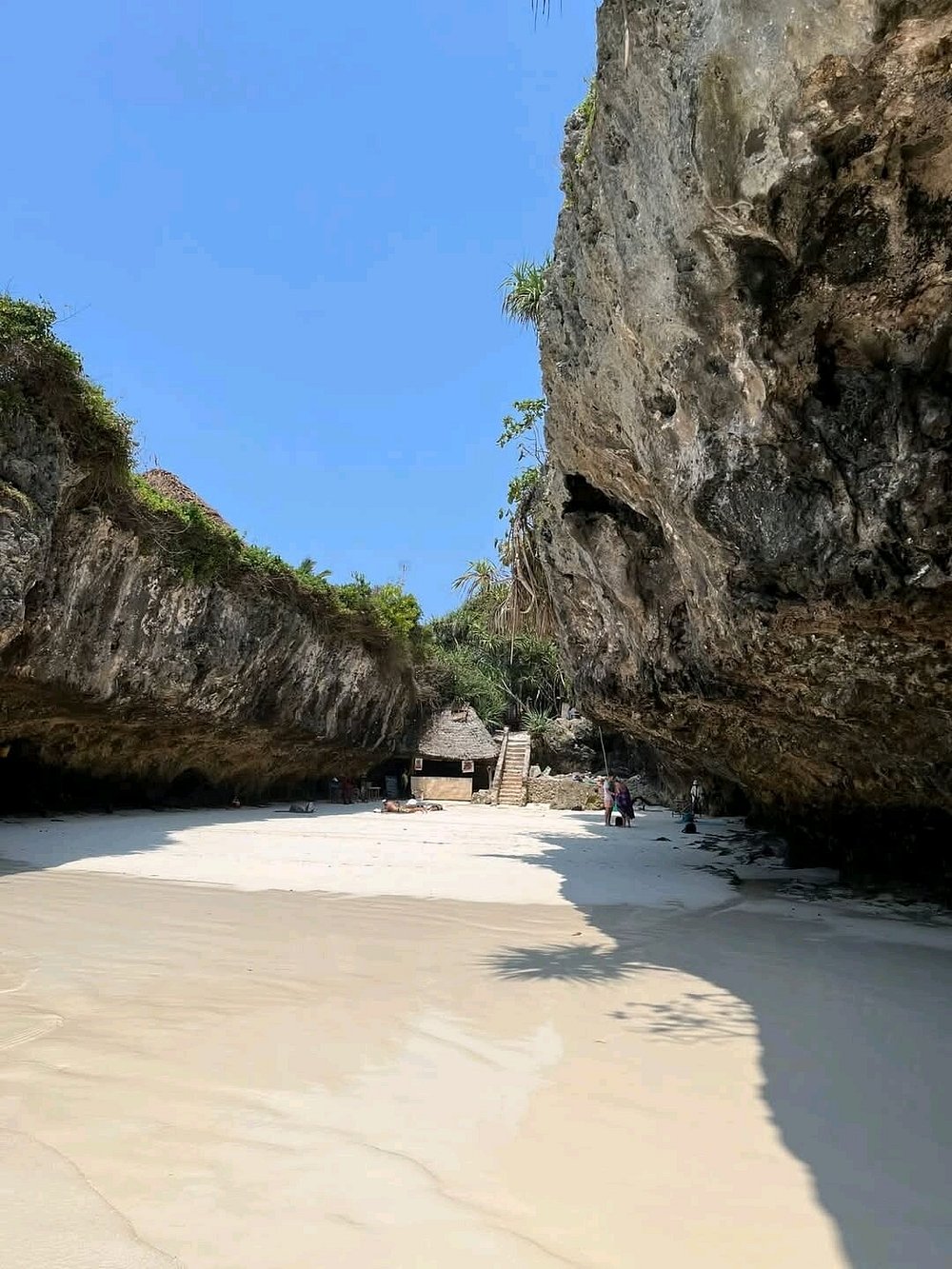 Zanzibar : visite privée de la forêt de Jozani, du parc aux reptiles et de la plage de Mtende