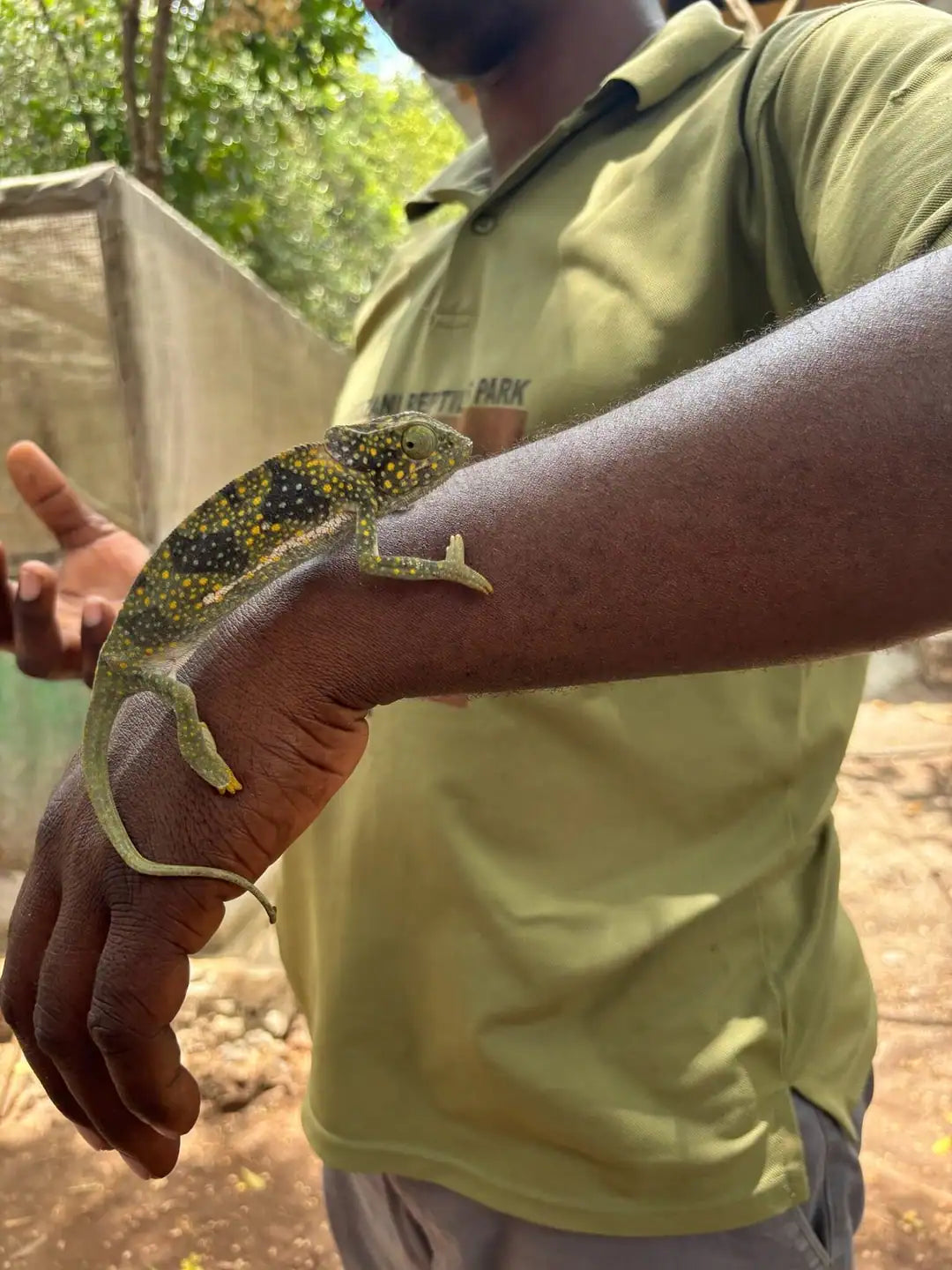 Zanzibar : visite privée de la forêt de Jozani, du parc aux reptiles et de la plage de Mtende