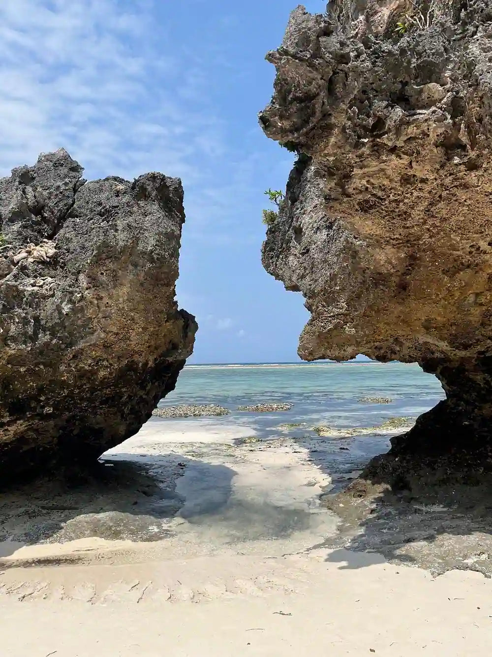 Zanzibar : visite privée de la forêt de Jozani, du parc aux reptiles et de la plage de Mtende