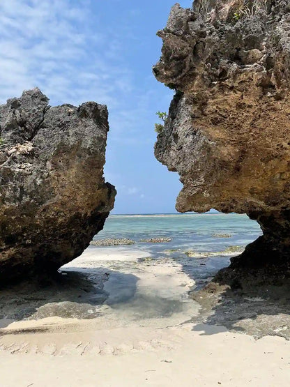 Zanzibar : visite privée de la forêt de Jozani, du parc aux reptiles et de la plage de Mtende