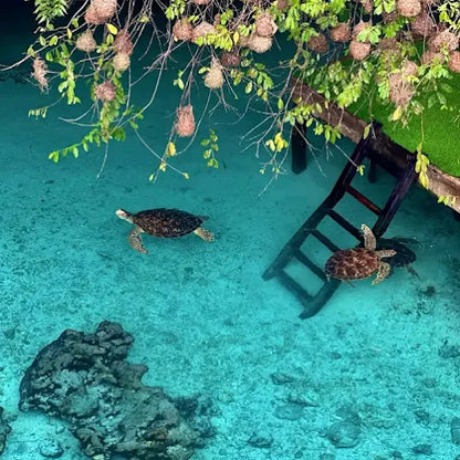 Zanzibar: tour privato della Foresta di Jozani, della fattoria delle spezie e della Grotta Salaam