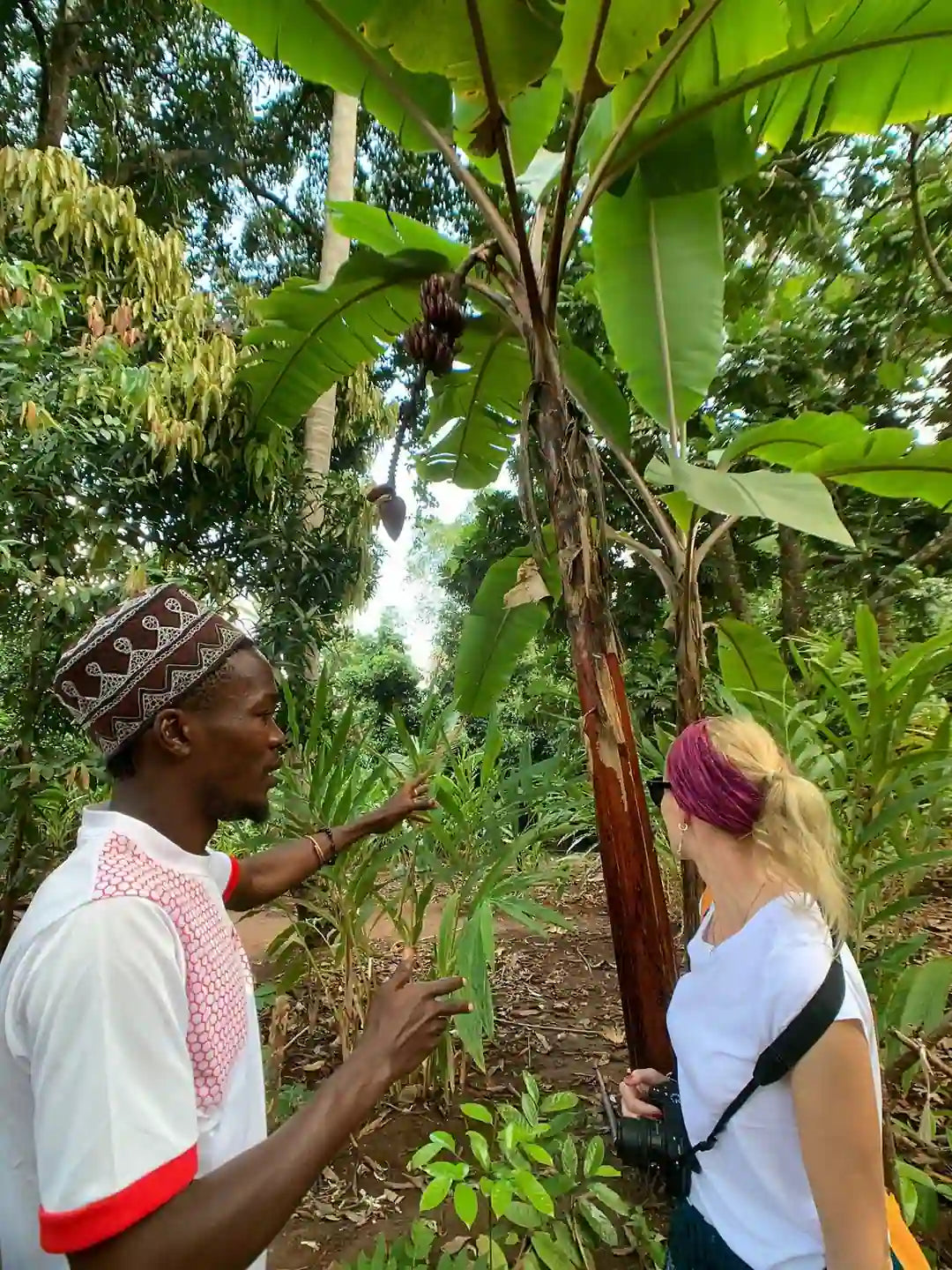 Zanzibar: tour privato della Foresta di Jozani, della fattoria delle spezie e della Grotta Salaam