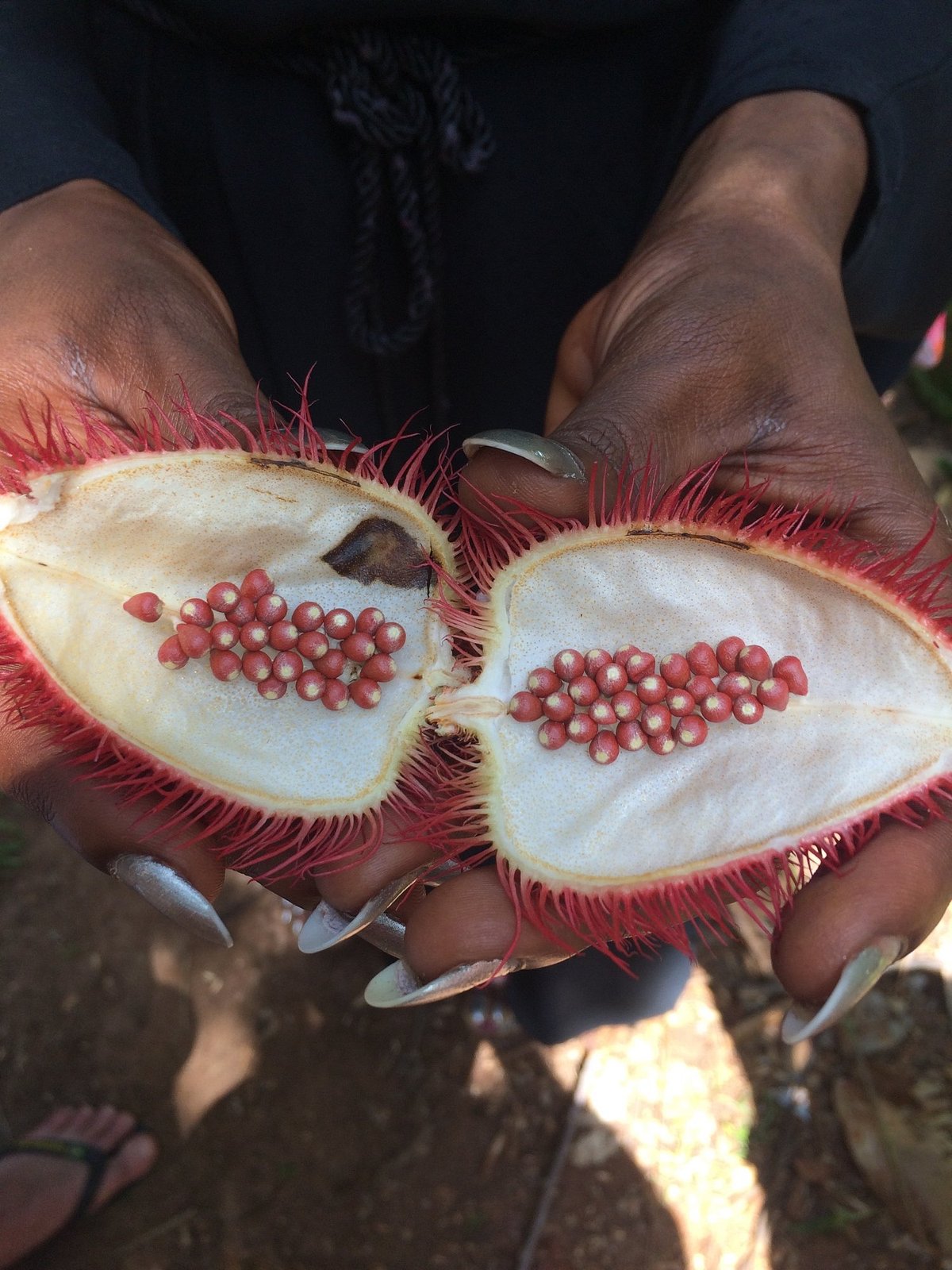 Zanzibar: tour privato della Foresta di Jozani, della fattoria delle spezie e della Grotta Salaam