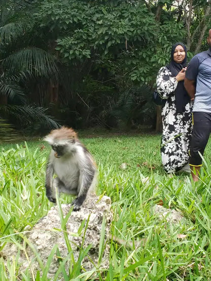 Zanzibar: Prywatna wycieczka do lasu Jozani i do małp rudych gerez colobus