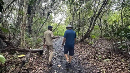 Zanzibar: Prywatna wycieczka do lasu Jozani i do małp rudych gerez colobus