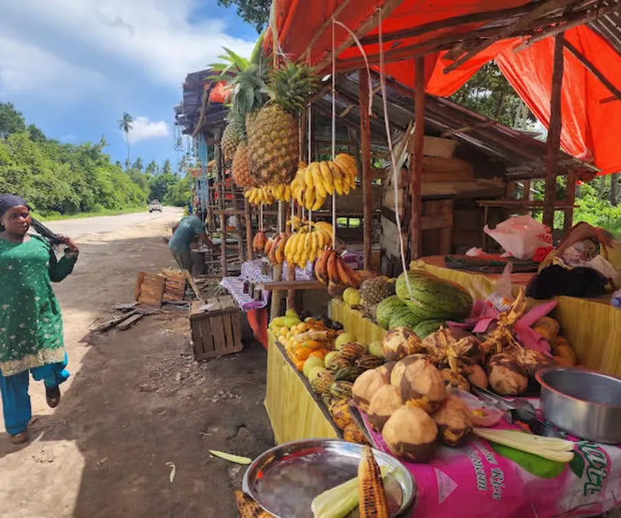Zanzibar: Prywatna wycieczka do lasu Jozani i do małp rudych gerez colobus