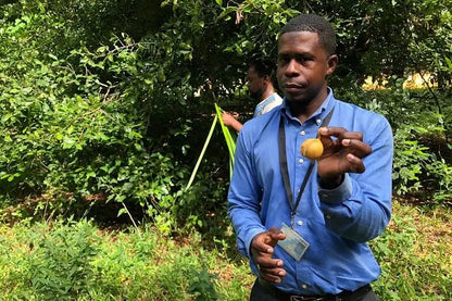Zanzibar : visite privée de Jozani, de l’île Prison et d’une ferme d’épices, avec la plage de Nakupenda
