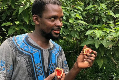 Zanzibar : visite privée de Jozani, de l’île Prison et d’une ferme d’épices, avec la plage de Nakupenda