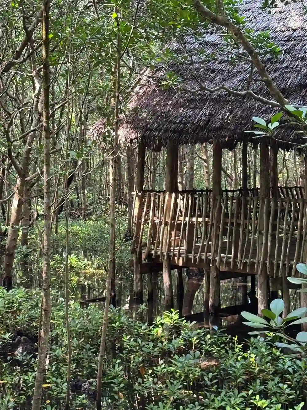 Zanzibar : visite privée de Jozani, de l’île Prison et d’une ferme d’épices, avec la plage de Nakupenda