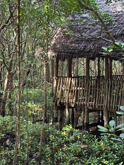 Zanzibar : visite privée de Jozani, de l’île Prison et d’une ferme d’épices, avec la plage de Nakupenda