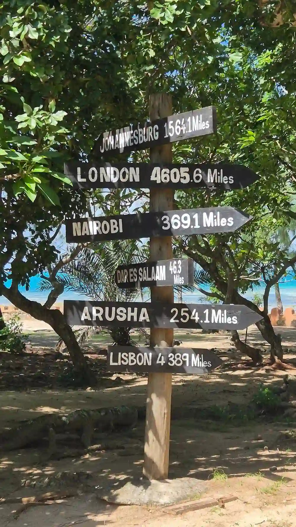 Zanzibar : visite privée de Jozani, de l’île Prison et d’une ferme d’épices, avec la plage de Nakupenda