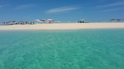Zanzibar : visite privée de Jozani, de l’île Prison et d’une ferme d’épices, avec la plage de Nakupenda