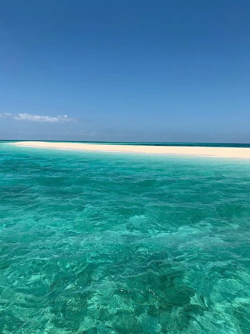 Zanzibar : visite privée de Jozani, de l’île Prison et d’une ferme d’épices, avec la plage de Nakupenda