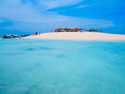 Zanzibar : visite privée de Jozani, de l’île Prison et d’une ferme d’épices, avec la plage de Nakupenda