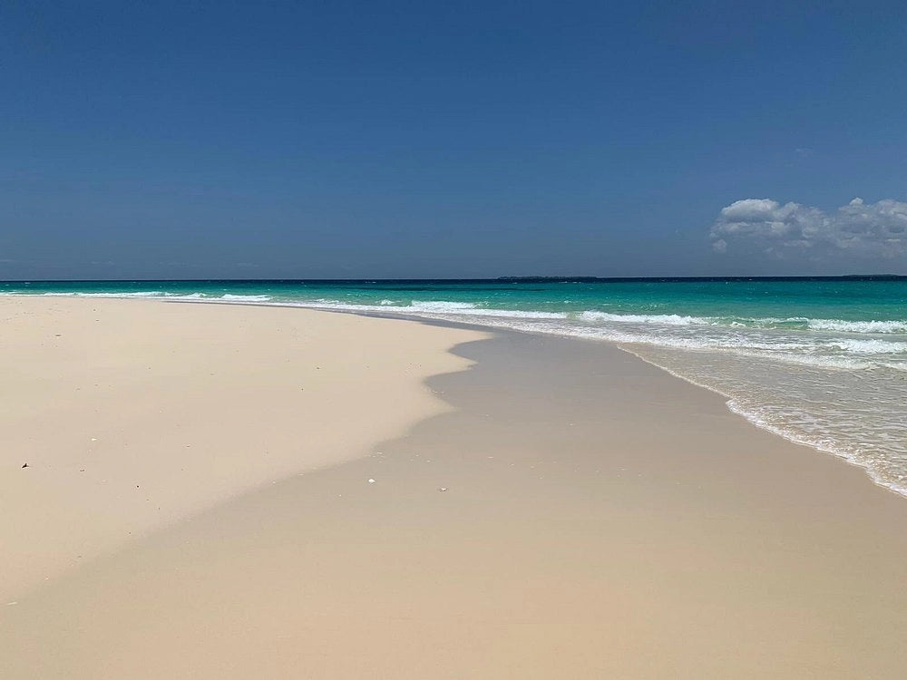 Zanzibar : visite privée de Jozani, de l’île Prison et d’une ferme d’épices, avec la plage de Nakupenda