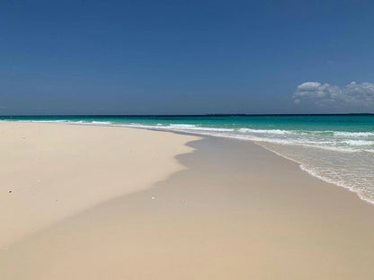 Zanzibar : visite privée de Jozani, de l’île Prison et d’une ferme d’épices, avec la plage de Nakupenda