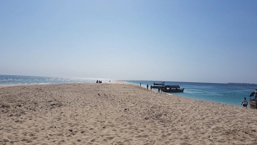 Zanzibar : visite privée de Jozani, de l’île Prison et d’une ferme d’épices, avec la plage de Nakupenda