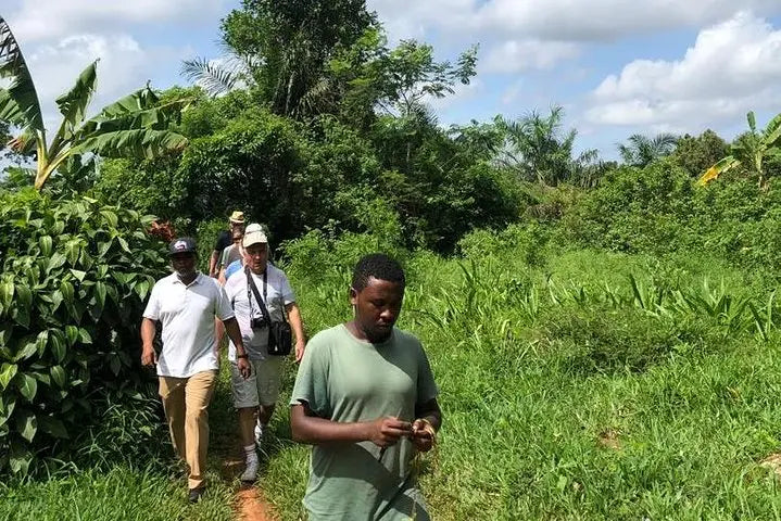 Zanzibar : visite privée de Jozani, de l’île Prison et d’une ferme d’épices, avec la plage de Nakupenda