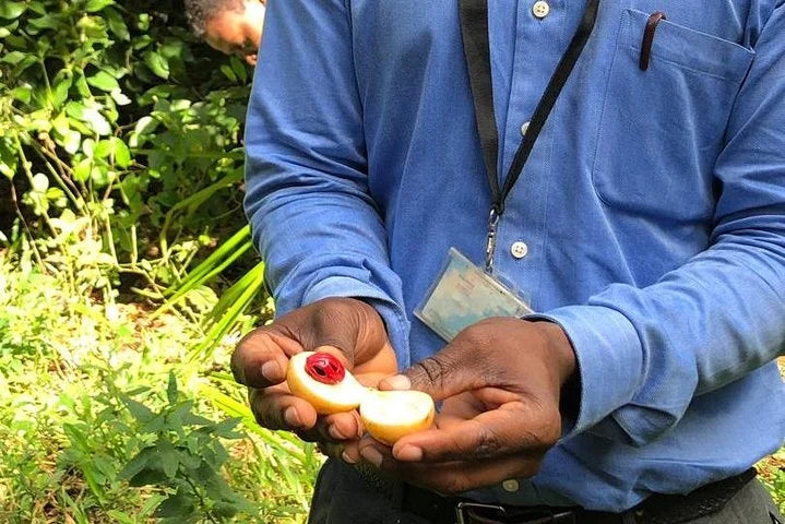 Zanzibar : visite privée de Jozani, de l’île Prison et d’une ferme d’épices, avec la plage de Nakupenda