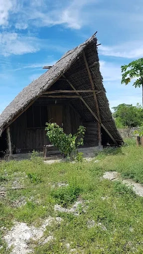 Zanzibar: Excursie privată la Peștera Kuza și experiență de cultivare a algelor marine