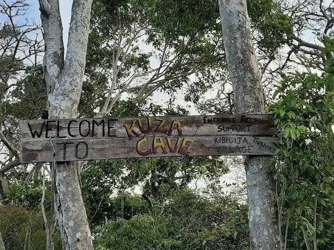 Zanzibar: Excursie privată la Peștera Kuza și experiență de cultivare a algelor marine