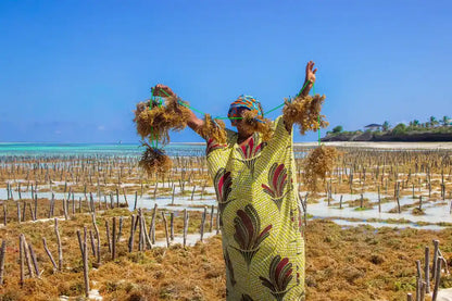 Zanzibar: Excursie privată la Peștera Kuza și experiență de cultivare a algelor marine