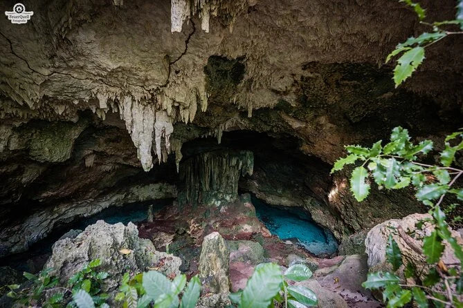 Zanzibar: Excursie privată la Peștera Kuza și experiență de cultivare a algelor marine