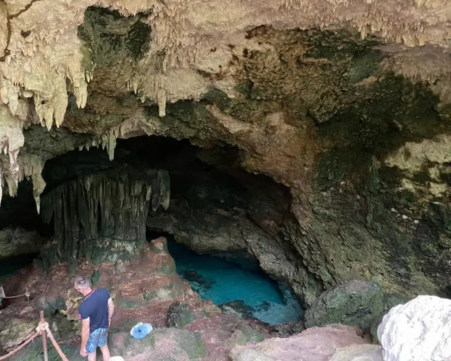 Zanzibar: Excursie privată la Peștera Kuza și experiență de cultivare a algelor marine
