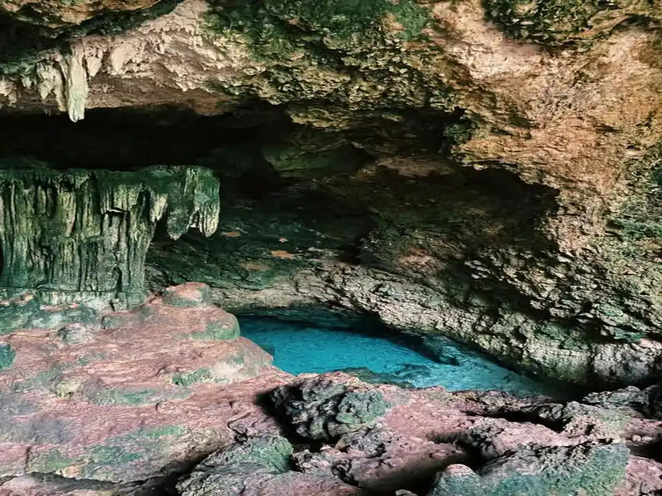 Zanzibar: Excursie privată la Peștera Kuza și experiență de cultivare a algelor marine