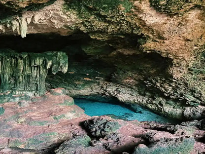 Zanzibar: Excursie privată la Peștera Kuza și experiență de cultivare a algelor marine