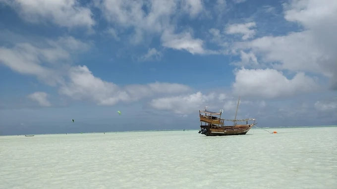 Zanzibar: Excursie privată la Peștera Kuza și experiență de cultivare a algelor marine