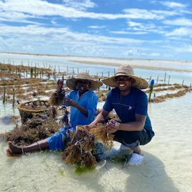 Zanzibar: Excursie privată la Peștera Kuza și experiență de cultivare a algelor marine