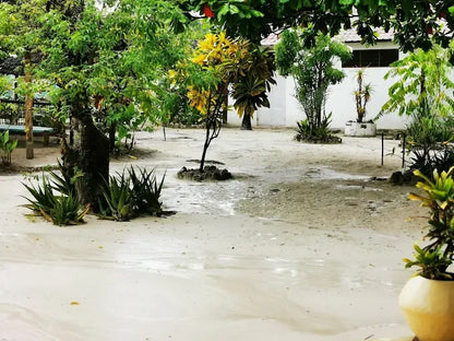 Zanzibar: Excursie privată la Peștera Kuza și experiență de cultivare a algelor marine