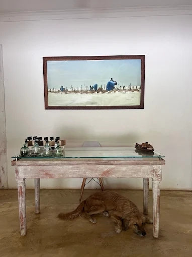 Zanzibar: Excursie privată la Peștera Kuza și experiență de cultivare a algelor marine