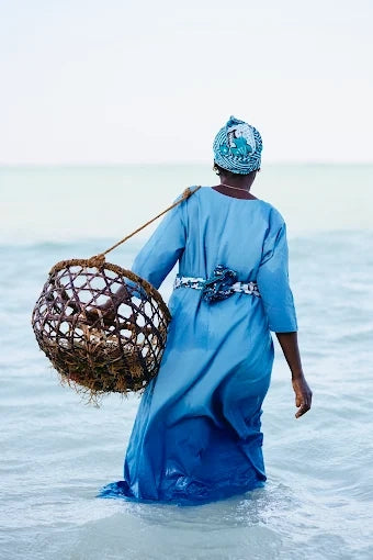 Zanzibar: Excursie privată la Peștera Kuza și experiență de cultivare a algelor marine
