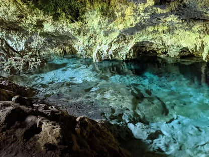 Zanzibar: Excursie privată la Peștera Kuza și experiență de cultivare a algelor marine
