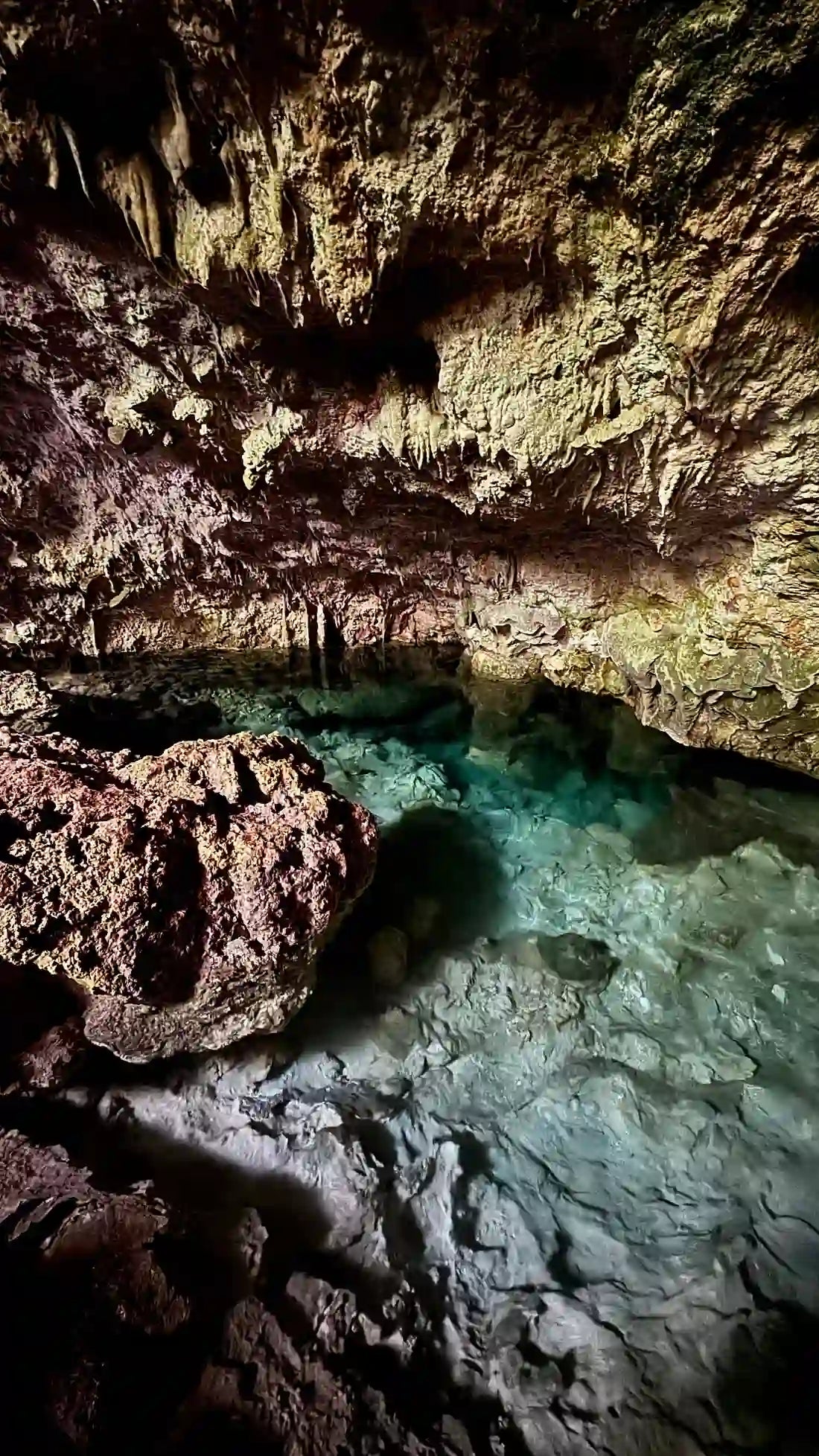 Zanzibar: visita ai delfini di Mnemba, alla foresta di Jozani e alla grotta di Kuza