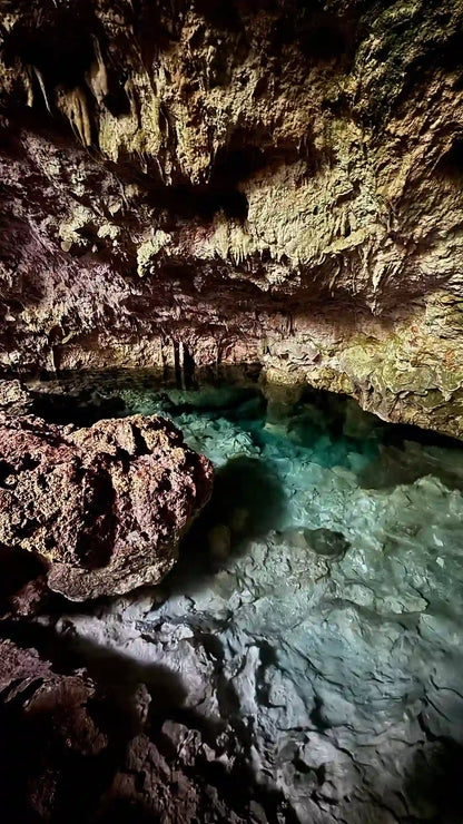 Zanzibar: visita ai delfini di Mnemba, alla foresta di Jozani e alla grotta di Kuza
