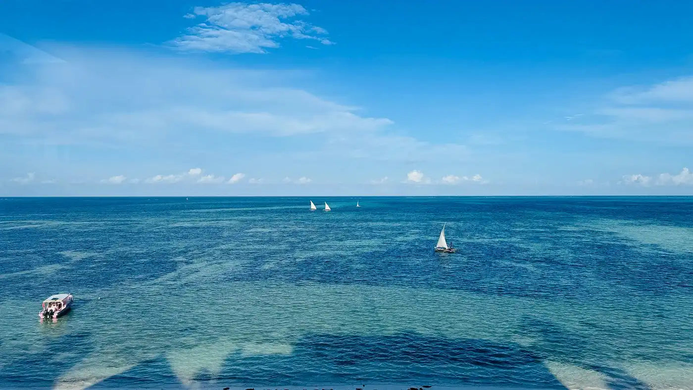 Zanzibar: visita ai delfini di Mnemba, alla foresta di Jozani e alla grotta di Kuza
