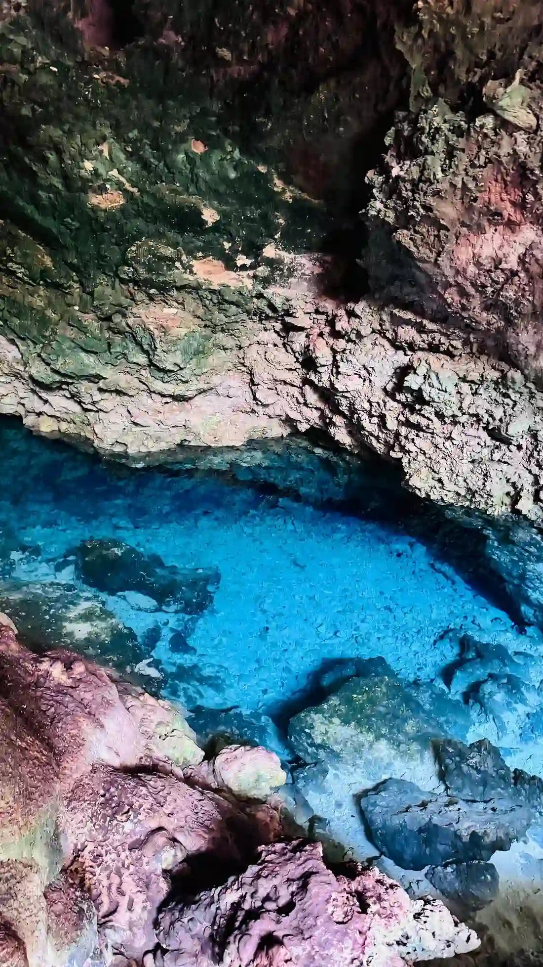 Zanzibar: visita ai delfini di Mnemba, alla foresta di Jozani e alla grotta di Kuza