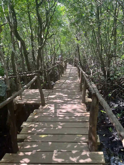 Zanzibar: visita ai delfini di Mnemba, alla foresta di Jozani e alla grotta di Kuza