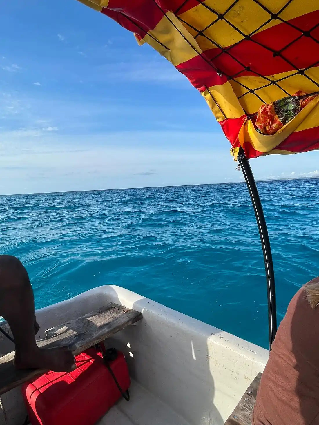 Zanzibar: visita ai delfini di Mnemba, alla foresta di Jozani e alla grotta di Kuza