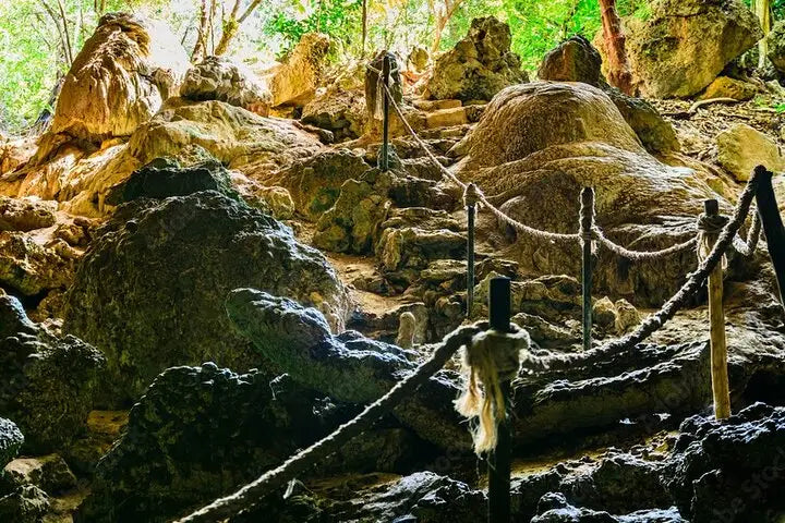 Zanzibar: visita ai delfini di Mnemba, alla foresta di Jozani e alla grotta di Kuza