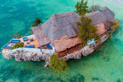 Zanzibar: visita ai delfini di Mnemba, alla foresta di Jozani e alla grotta di Kuza